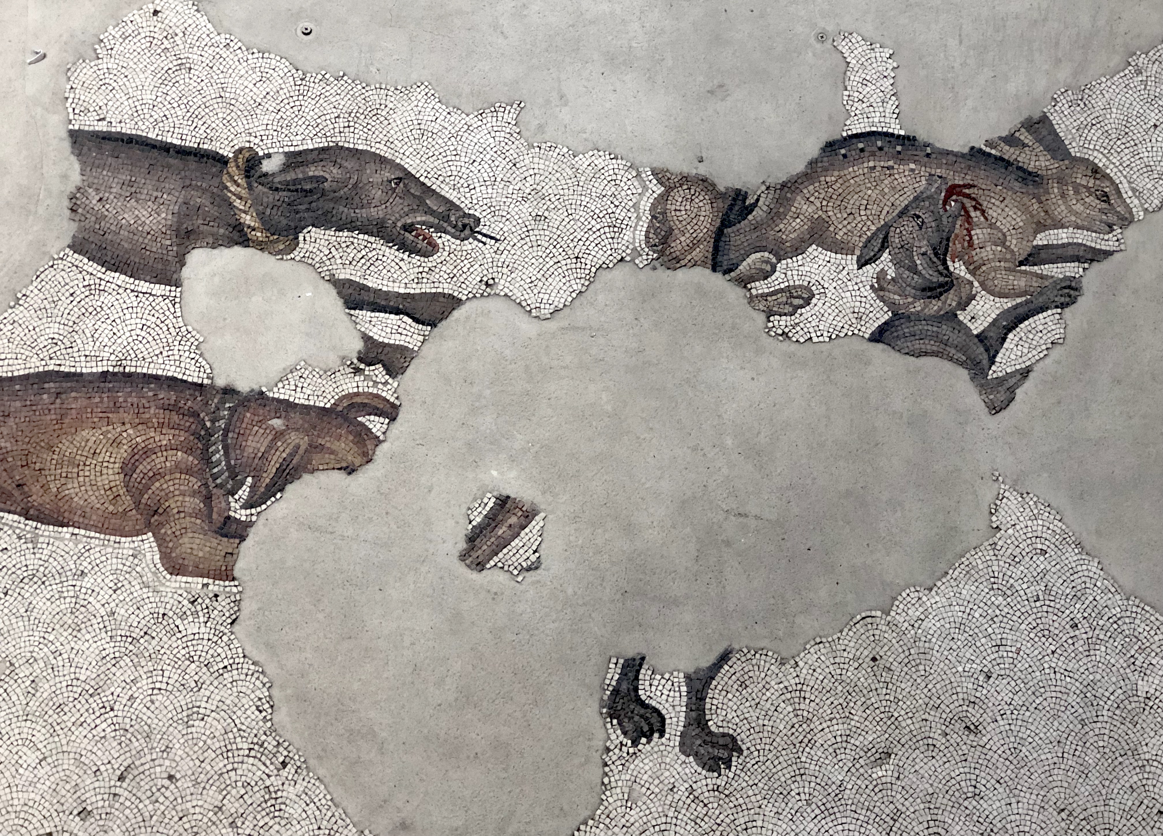 Great Palace Mosaics Museum floor panel (detail) – Mosaic & Glass